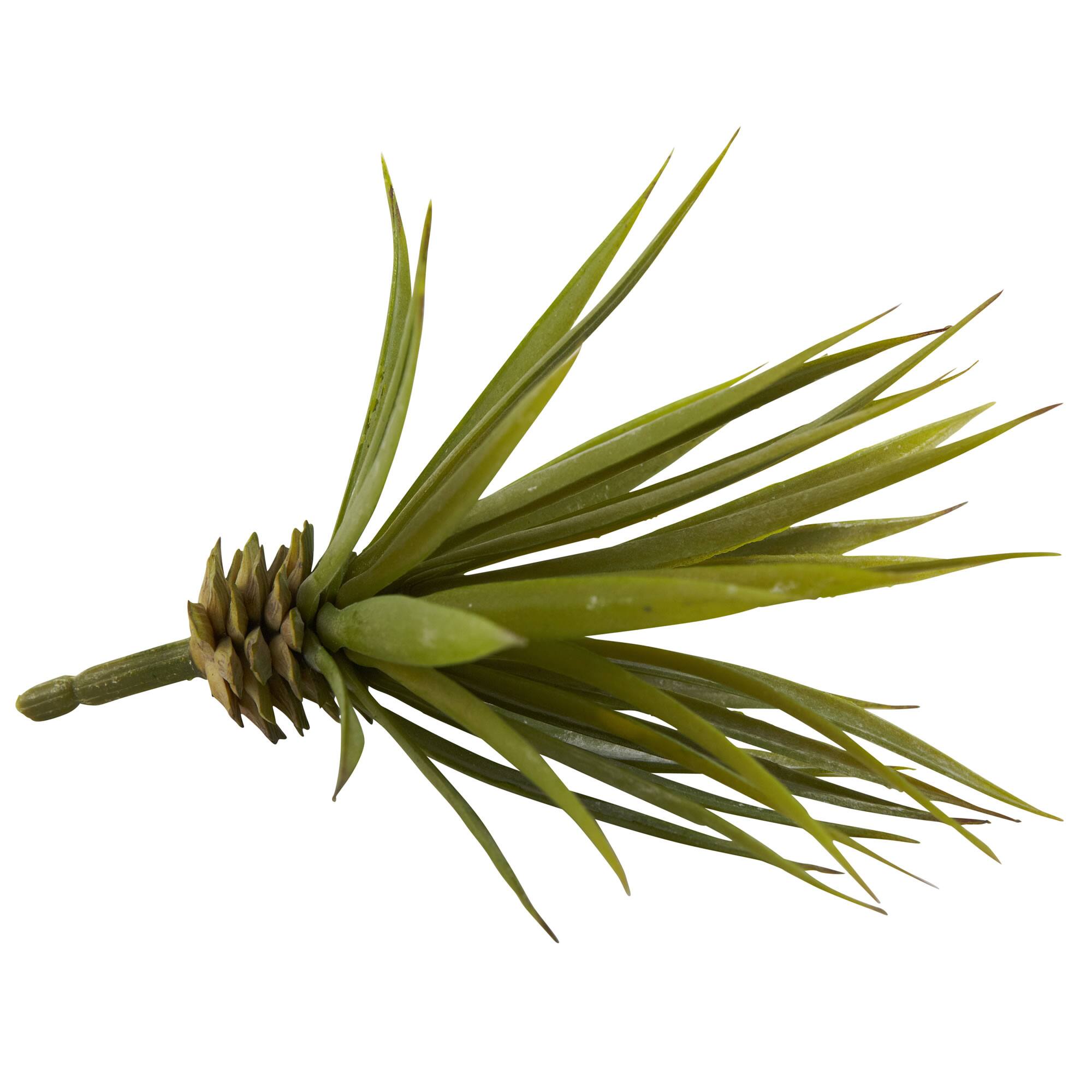 Spiky Agave Succulent Pick, 12ct.
